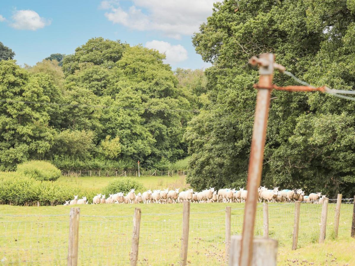 Holly Farm Cottage Newbridge on Wye ภายนอก รูปภาพ